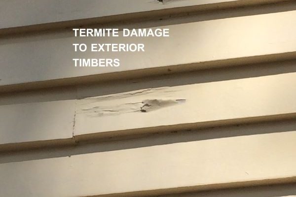Greenhalgh Pest Termite Damage to Exterior Timber